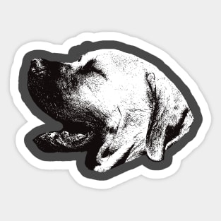 Boerboel - Boerboel Christmas Gifts Sticker